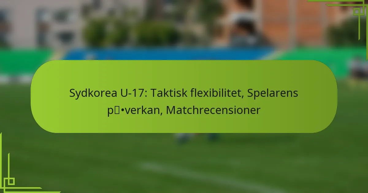 Sydkorea U-17: Taktisk flexibilitet, Spelarens påverkan, Matchrecensioner