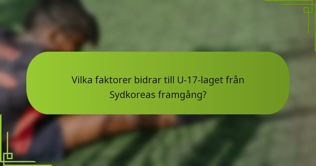 Vilka faktorer bidrar till U-17-laget från Sydkoreas framgång?