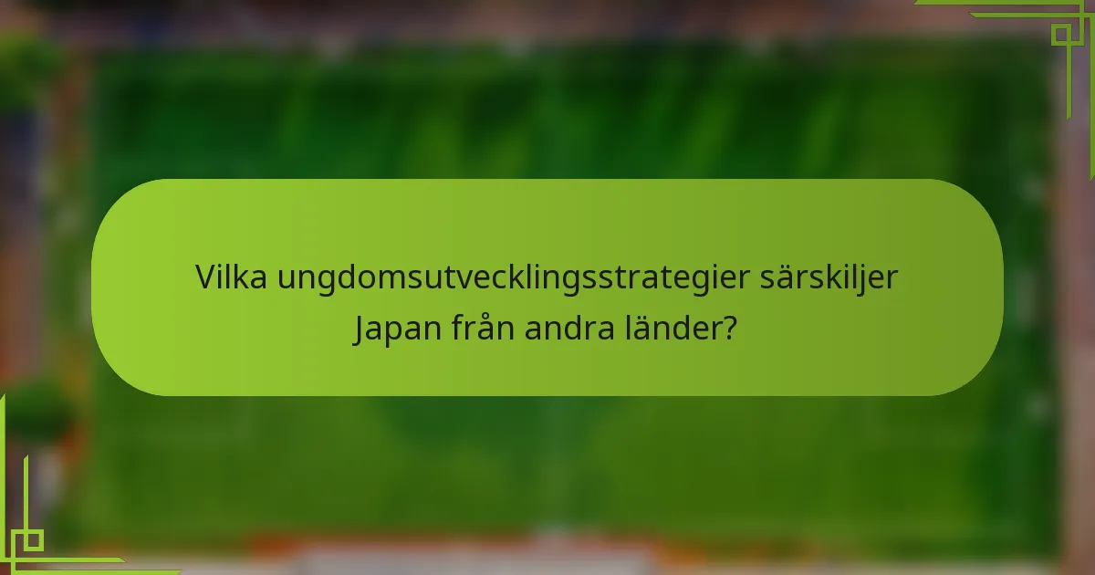 Vilka ungdomsutvecklingsstrategier särskiljer Japan från andra länder?